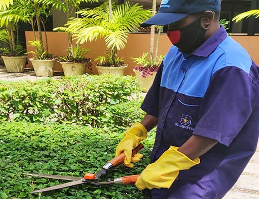Garden Maintenance